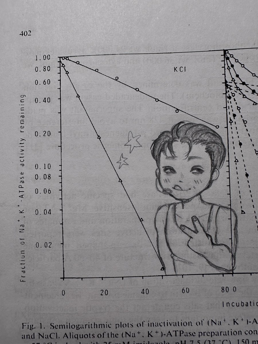 xudonymph's tweet photo. itty bitty san in the semilogarithmic plots ⁉️⁉️⁉️ https://t.co/p2TM5HuoVQ