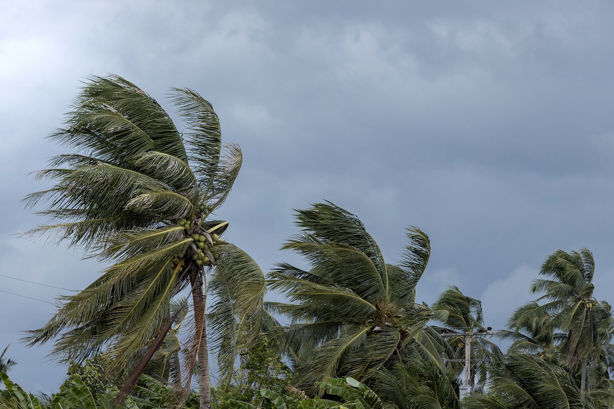 Evolveinspect's tweet image. Floridians understand the hazards of living in an area prone to hurricanes &amp;amp; other tropical windstorms. Evolve Property Inspections employs Certified Master Inspectors &amp;amp; can provide you with a wind mitigation inspection. bit.ly/3db4Bia