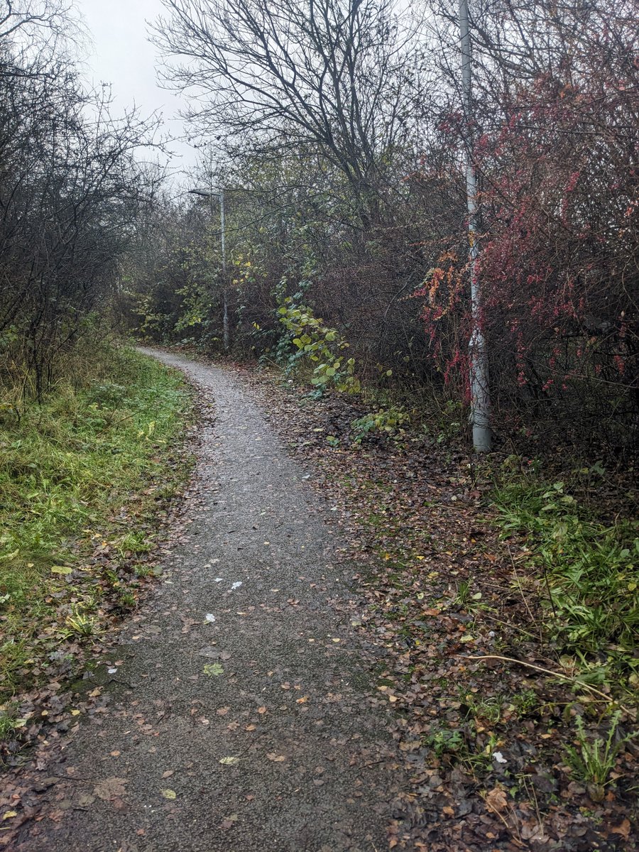 TPT_Stockport's tweet photo. Before and after photos of the walking and cycling route through the Travis Brow roundabout (J1 M60). Much needed clearance work carried out by the @StockportMBC Community Payback team, who have done a brilliant job to restore the full useable width of the path👍. @ClaireVibert https://t.co/zPQfkrrfSK