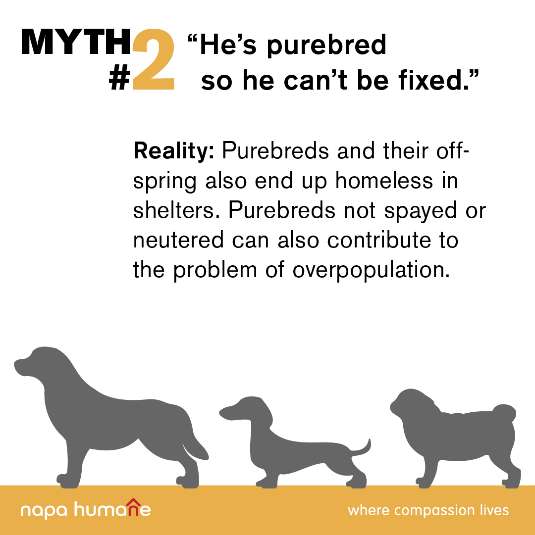 Napa Humane tweet media