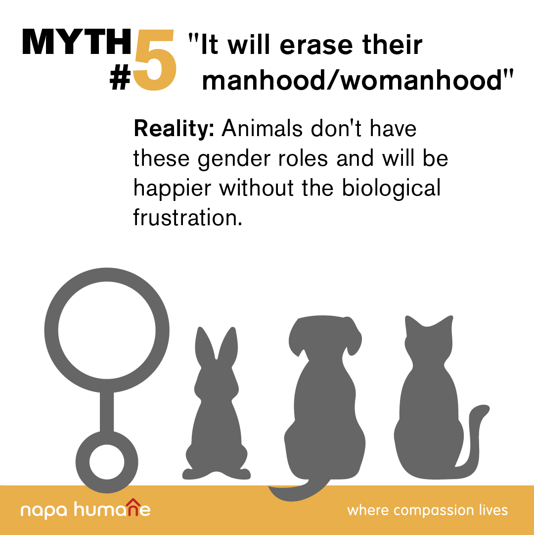 Pet owners come up with many reasons why they won't spay or neuter their animals. We're here to dispel some of those myths. For more info on spaying/neutering, click the link below.
bit.ly/nhspneu