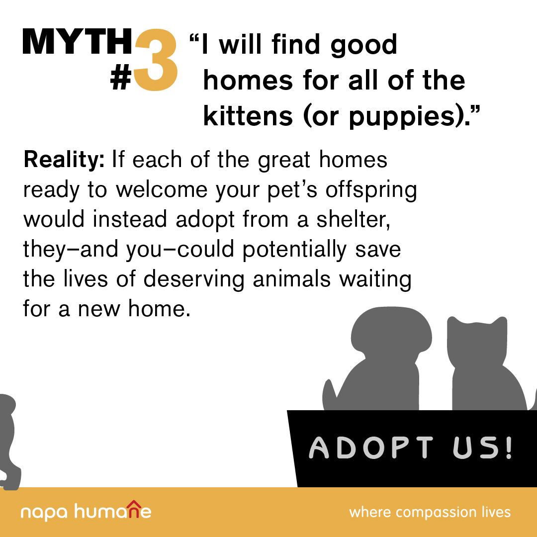 Napa Humane tweet media