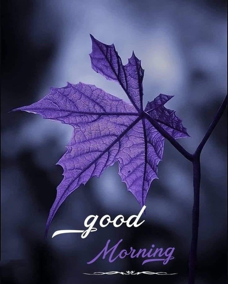 Nadeem_2018's tweet image. Good morning friends❤️
Have a blessed Friday🌸🌸
#LoveIsBlind 
#Noservice