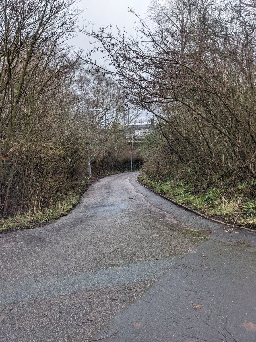 Before and after photos of the walking and cycling route through the Travis Brow roundabout (J1 M60). Much needed clearance work carried out by the <a href="/StockportMBC/">Stockport Council</a> Community Payback team, who have done a brilliant job to restore the full useable width of the path👍. <a href="/ClaireVibert/">Claire Vibert</a>