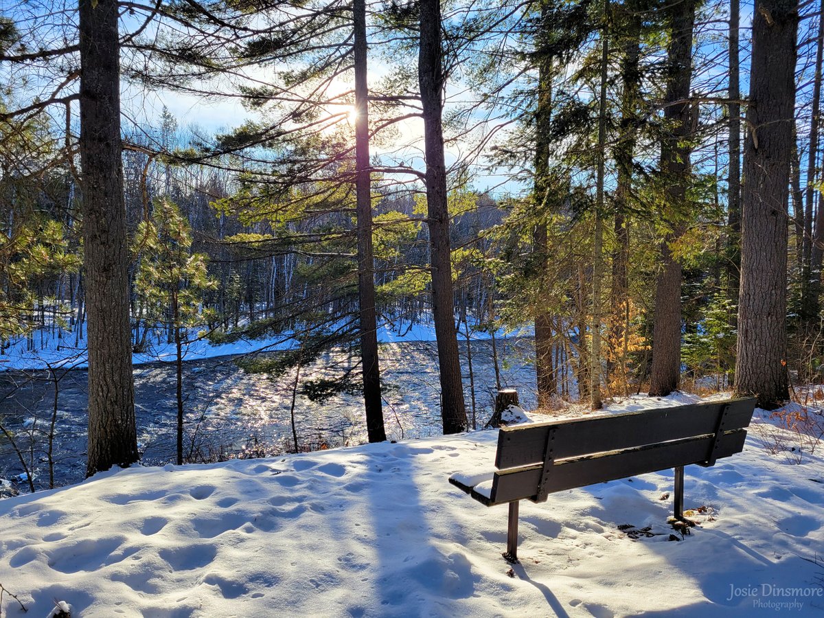 Brighter days ahead! ☀️ 📍 Along the Amable du Fond River at Samuel de Champlain Provincial Park, Ontario. #FindYourSelfHere #ShareYourWeather #winter