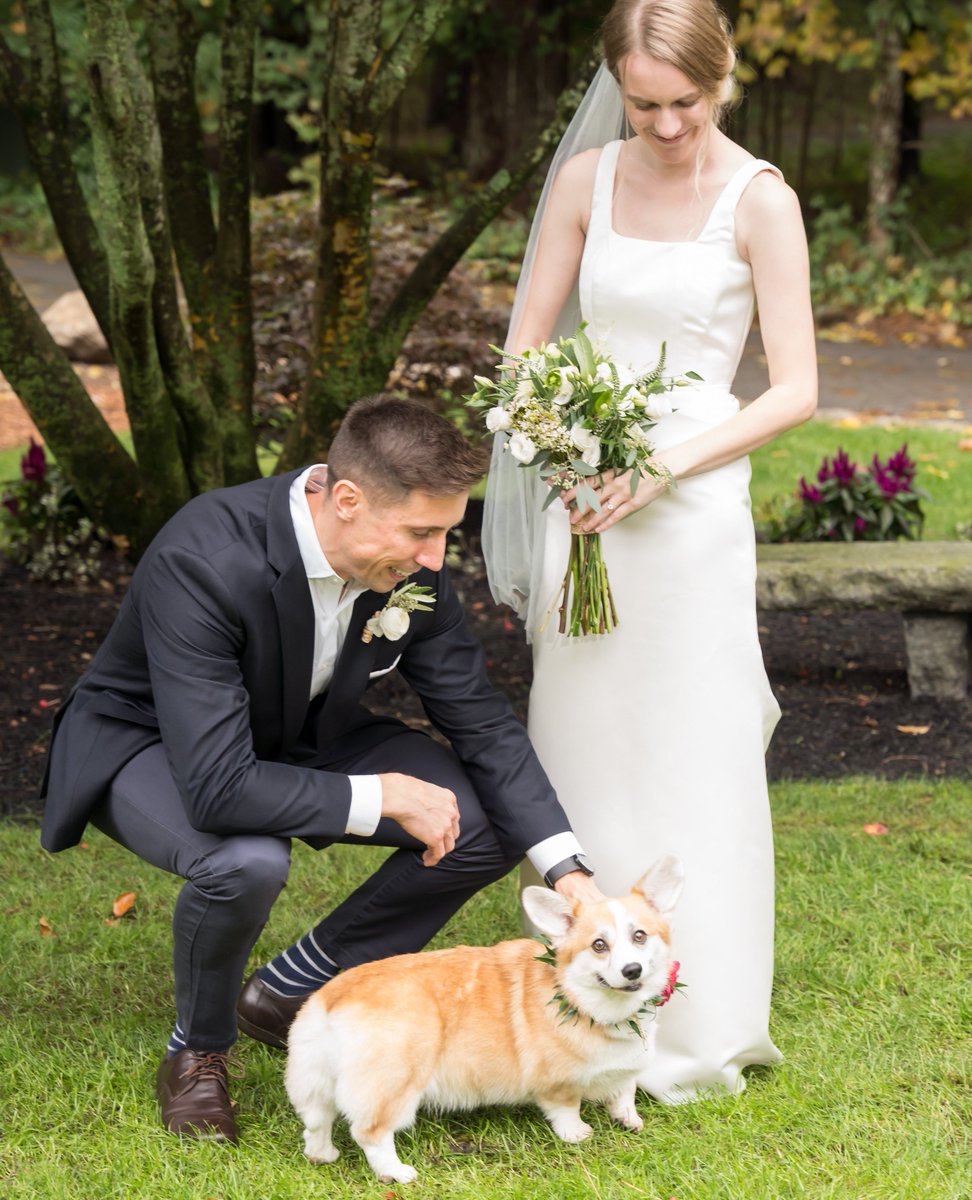 Lauren and Sean's backyard wedding was a perfect intimate setting. Their sweet girl Anne tried her hardest to steal the show...

#maureenrussellphotography
#southshoremawedding #southshoremaweddingphotographer
#massachusettsweddingphotographer #massachusettswedding