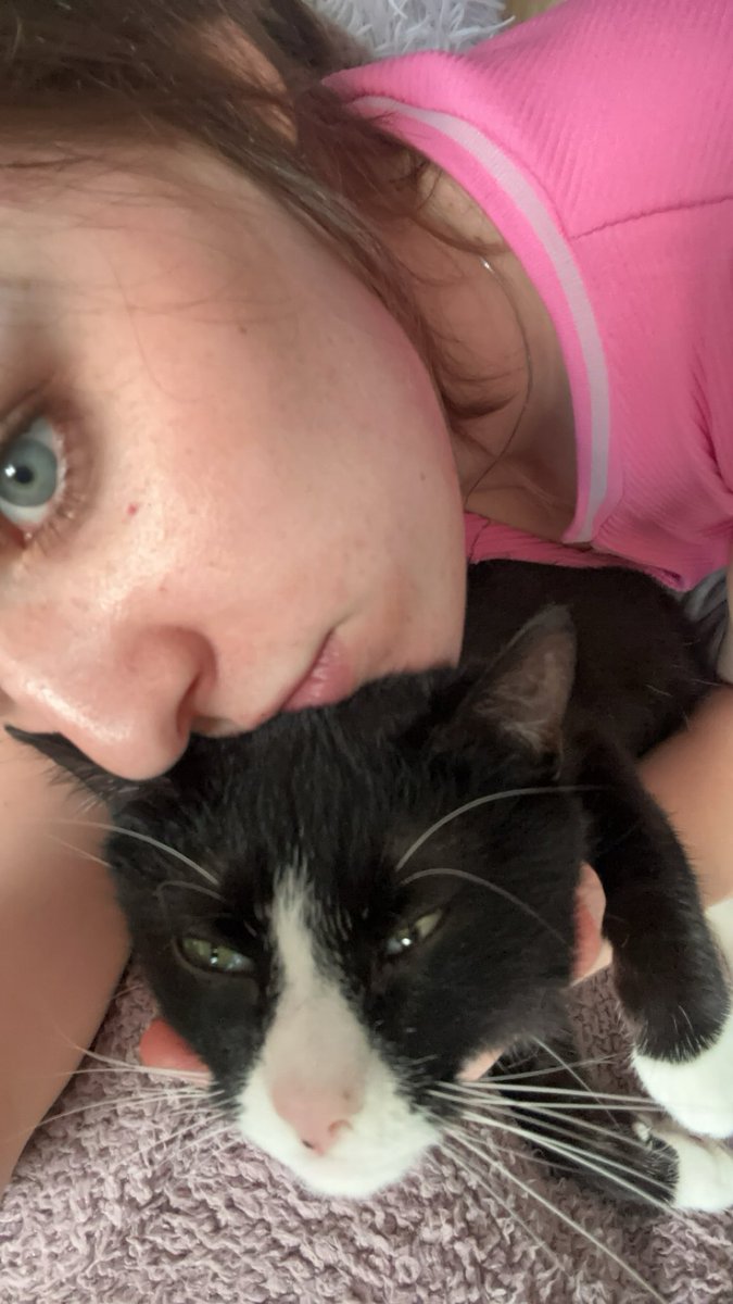 maeequiinn's tweet photo. i love being a cat mom 🩷 pls look at my baby !!! https://t.co/kM7RzezvJz