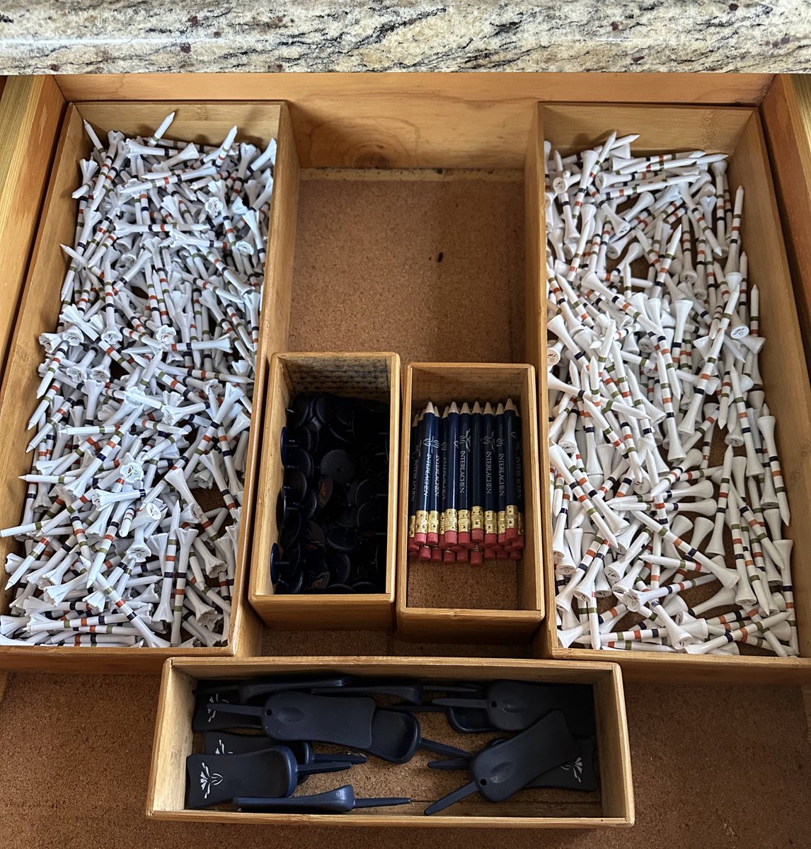 Samantha Marks tweet media