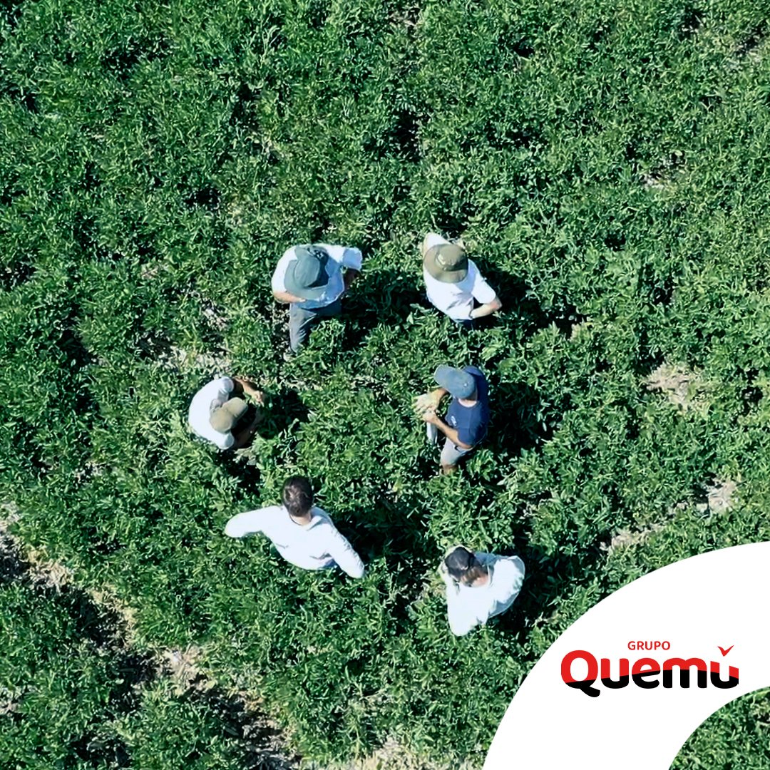 Fullagro de Grupo Quemú tweet media