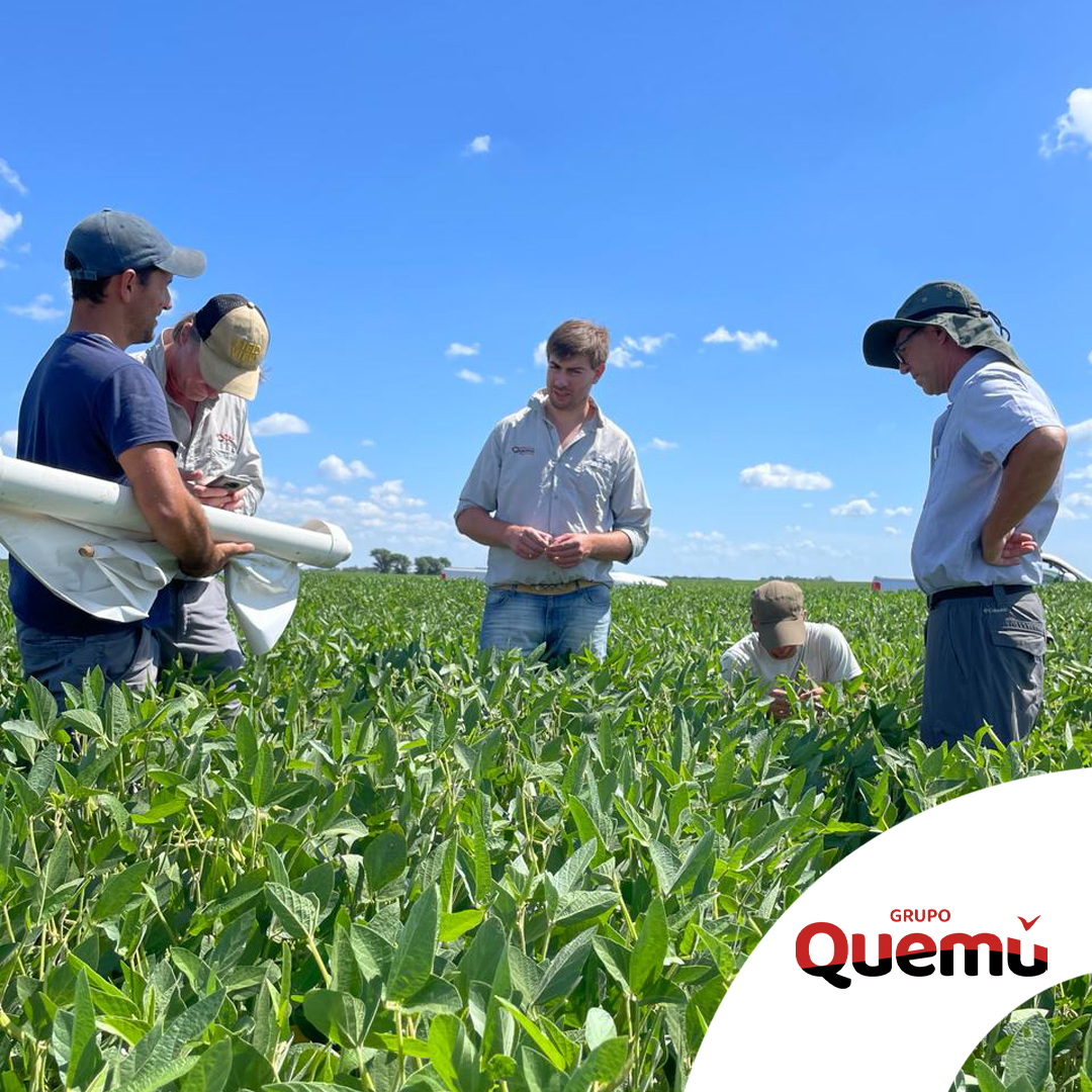 Fullagro de Grupo Quemú tweet media