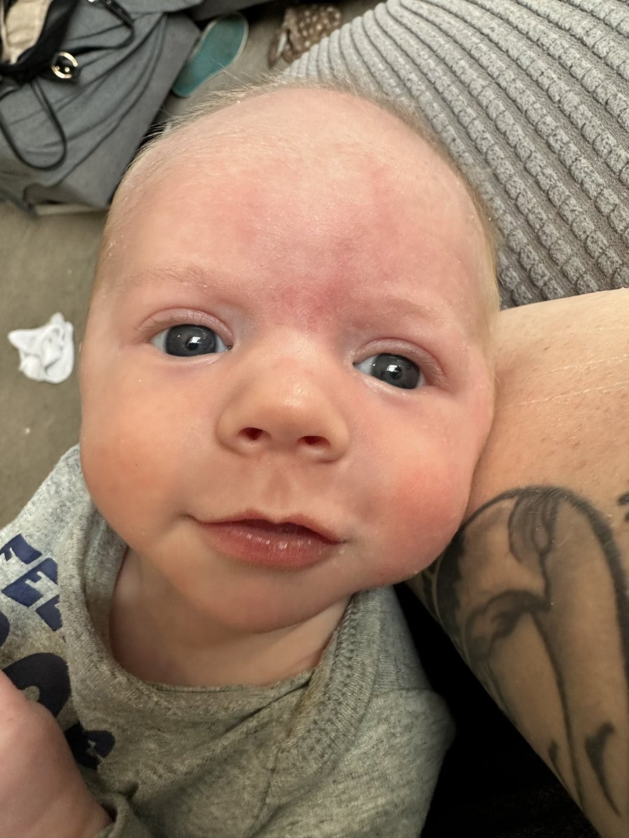 Everyone’s Favorite Dumpster Fire tweet media