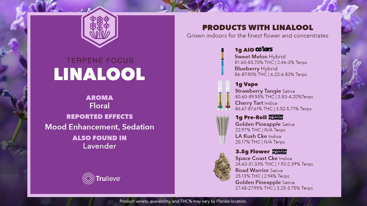 Trulieve's tweet image. Explore floral bliss with our curated Linalool Guide, featuring selections from concentrate and flower for an aromatic delight. 🔥🌸 #Terpene #Linalool #Trulieve
