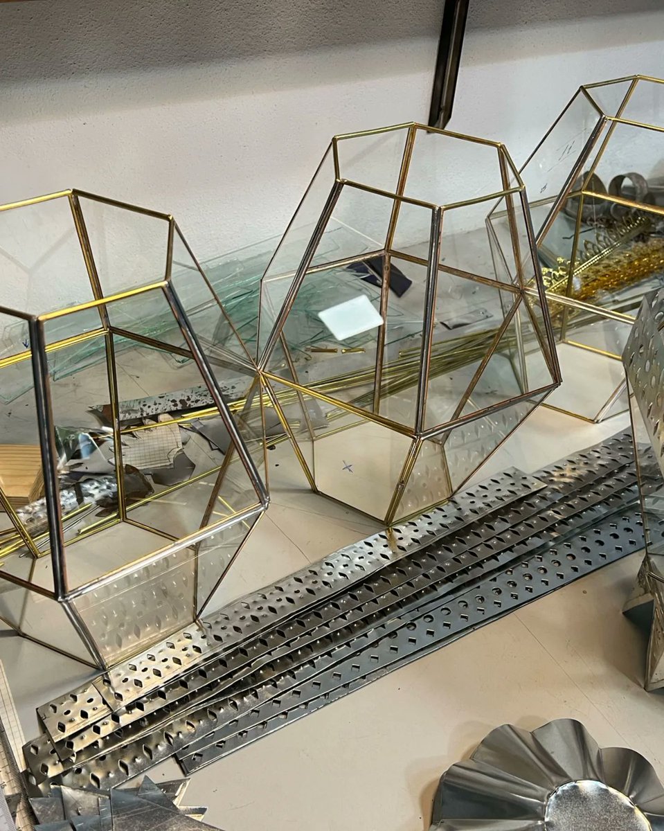 Servitas Bonela tweet media