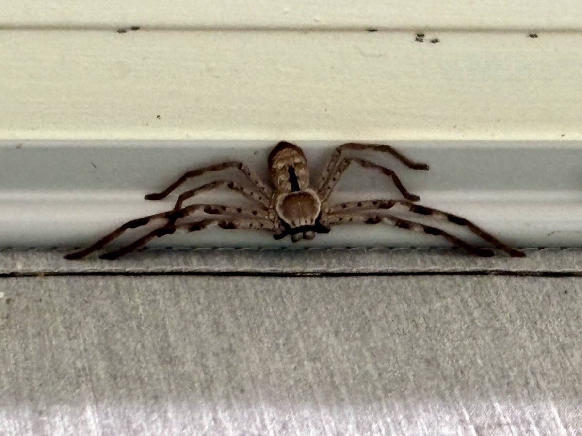 Damian Cameron MInSTR 🚒 tweet media