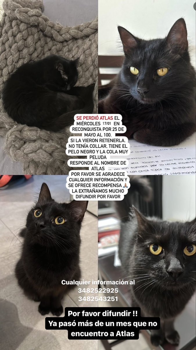 Por favor difundir