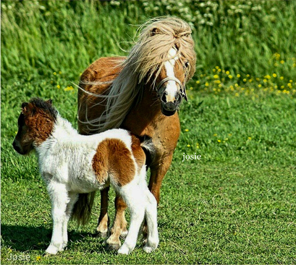 J🍋sephien Sierag 🕊📚🌸🍣📷 tweet media