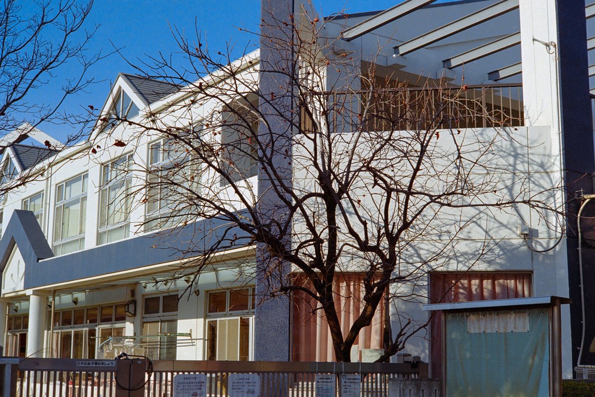 hidesaxphotos's tweet photo. ホント久しぶりに、フィルムカメラ片手に近所の散歩。
Leica M3, 50mm cron, Kodak UltraMax400
#street #walk #flowergarden #winter #afternoon #nakedtree #backlit #saitama #japan #leica #m3 #summicron #hidesax #hidehikosakashita https://t.co/jAhP23n2My