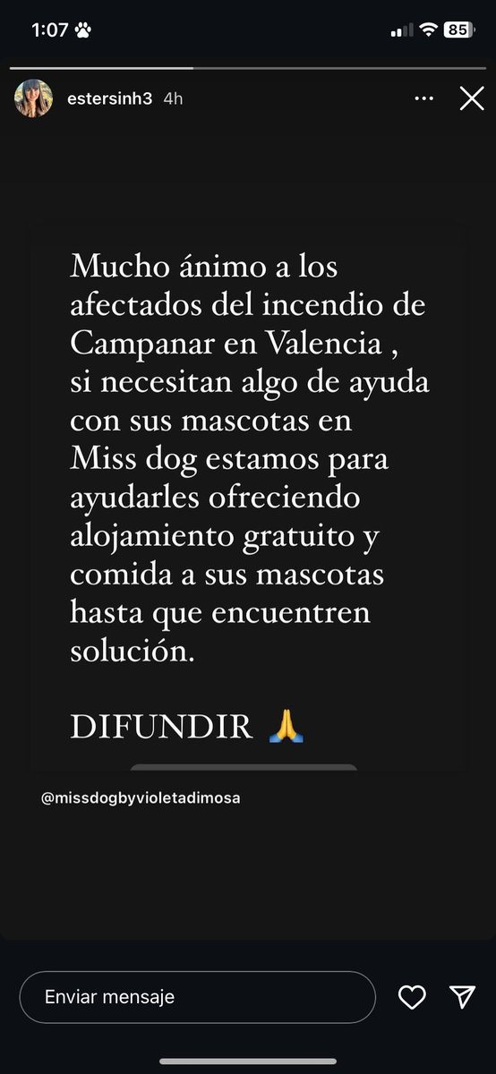hormiii_7's tweet photo. Para la gente con mascotas del incendio de #Valencia y necesite ayuda. 
Os paso este Instahistory de @estersinh3 que es de mucha ayuda. Rt para más difusión por fis, no olvidemos a los peluditos 🙏🙏 https://t.co/50SLvTUA8g