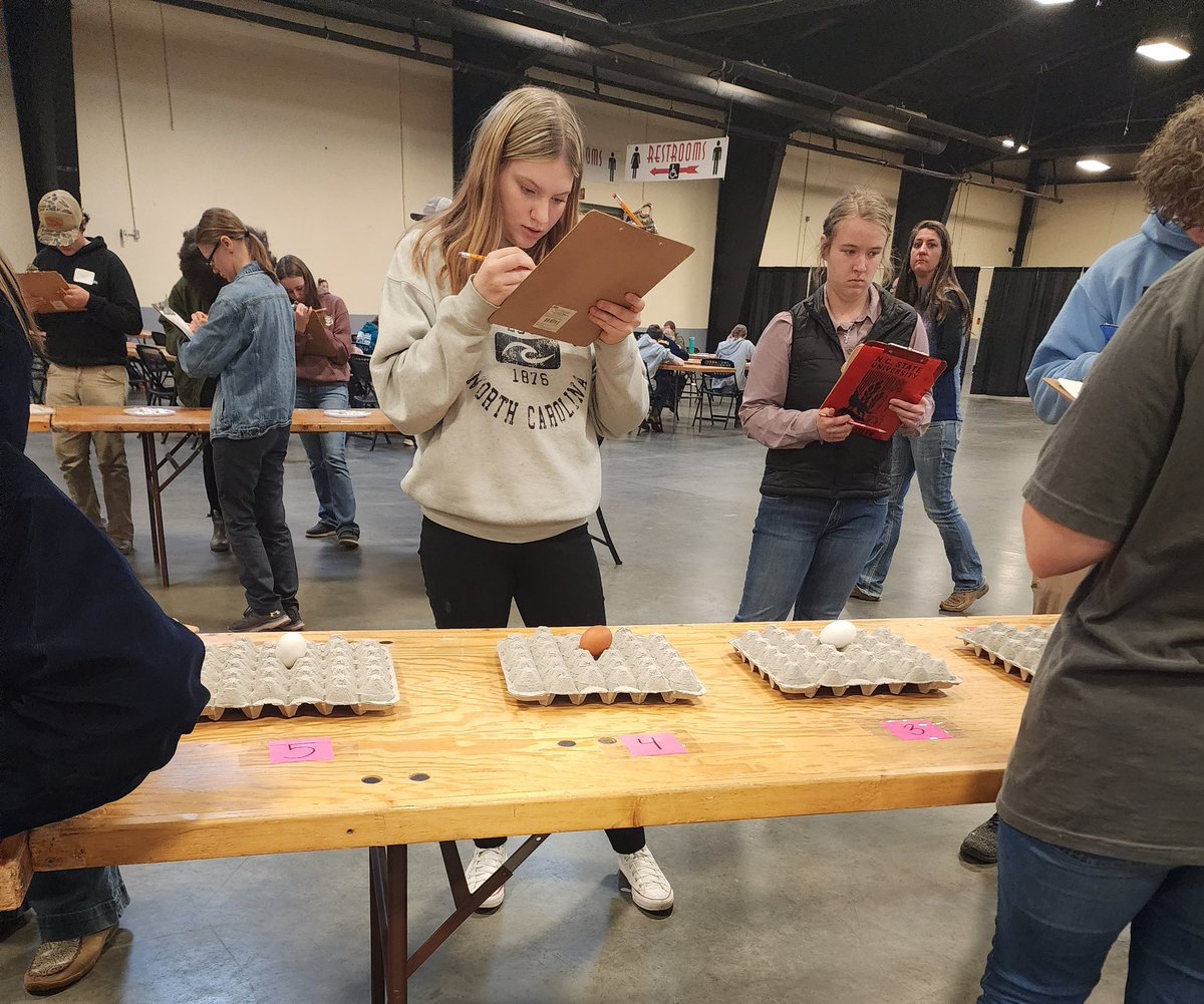 ledford_ffa's tweet photo. Our Senior Poultry Evaluation Career Development team placed 1st in Federation and 3rd in Region. 🐔 @dcsnc #CDE @LedfordProud #learningtodo https://t.co/PM7eiyLlsf