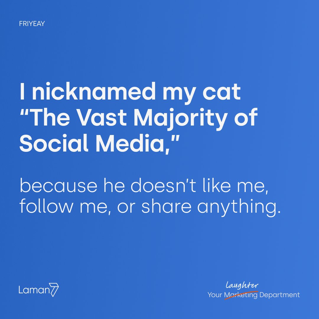 Laman7My's tweet photo. What's your cats name? 

#friyeay https://t.co/fPAlHLv9tD