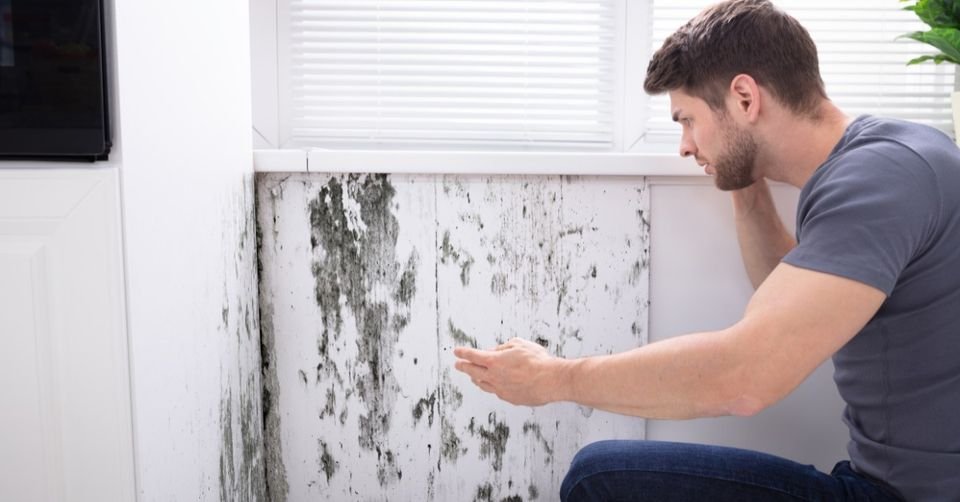 HomeownersLA's tweet image. Whether mold damage is covered by homeowners insurance depends on the cause of the mold and the specific policy. Learn more by visiting us at homeownersinsurancelosangeles.com.

#Insurance 
#InsurancePolicies 
#HomeInsuranceCoverage 
#HO3InsuranceCoverage
#HomeownersInsuranceCoverage