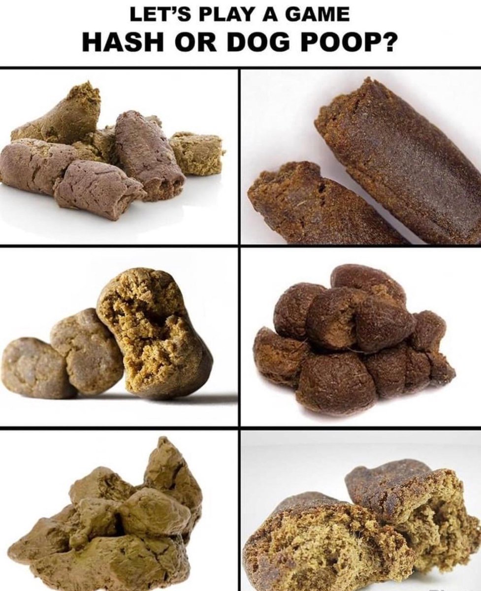 Which ones hash, which ones dog poop?