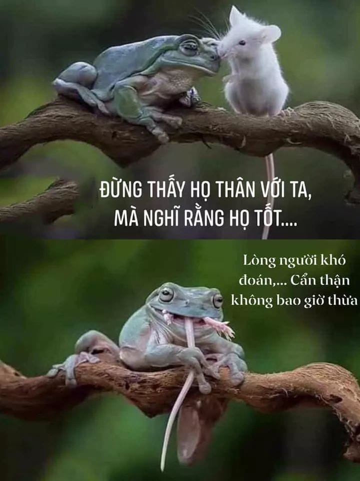 Cuộc sống mà ....