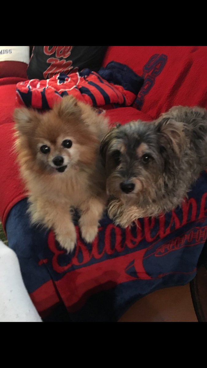 The Squirt dog is now aggravating the crap out of Sassy. You will be missed my Dude. My dude..