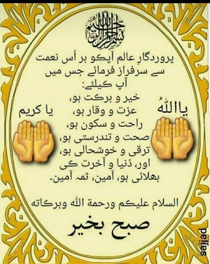 السلام علیکم فرینڈز
گُڈ مارننگ
صبح بخیر
گُڈ ڈے