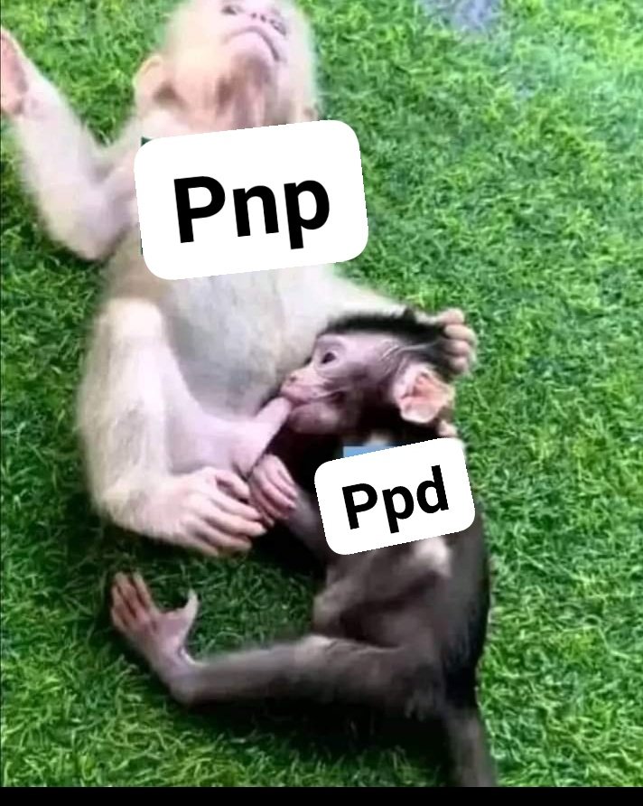 ElBichoEnX's tweet photo. https://t.co/G8ZJXqW70c