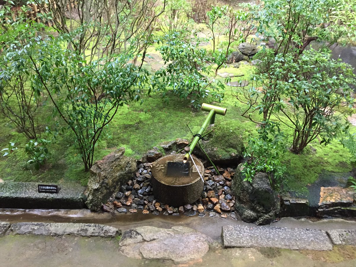 toraji_sakura's tweet photo. なぜか京都へ。
雨の龍安寺、何年ぶりか… https://t.co/Abrn28x41Q
