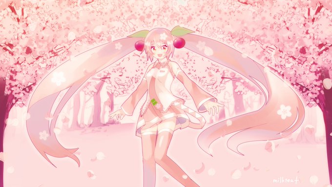 「桜ミク 白いシャツ」の画像/イラスト/ファンアート(新着)｜4ページ目