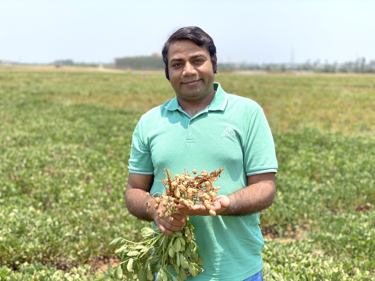 A better peanut on your plate? Global population growth has led to rapidly increasing food demand, but a new study has revealed a way to boost crop improvements - specifically in peanuts. loom.ly/8sWWbRM