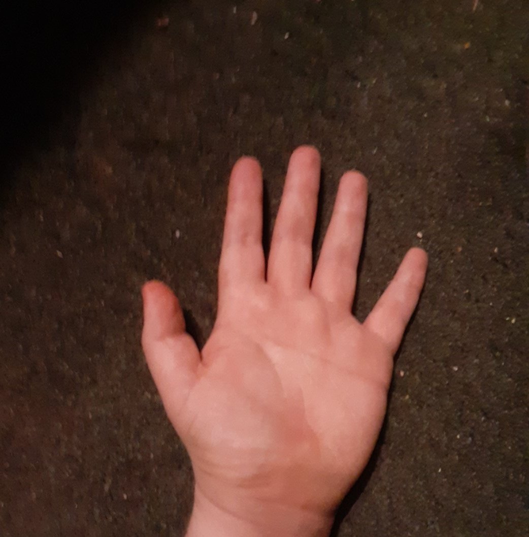 Lpp360tweets's tweet photo. I told AI to draw a left hand, on a floor in a standard house. #AI2024 #NotReal #hands #ComputerImages https://t.co/hesrhWf8Wo
