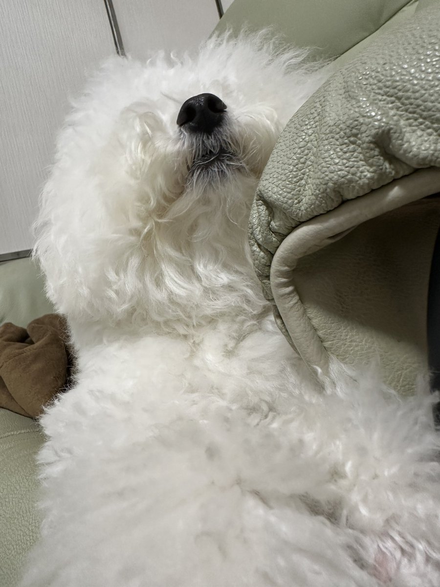 soph0531's tweet photo. 天気わるっ https://t.co/TFd501NL9k