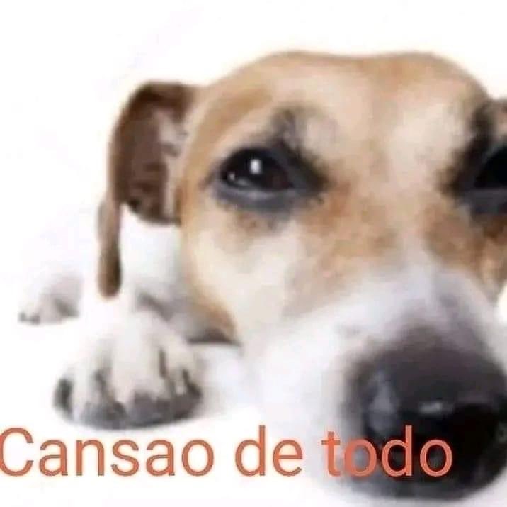 alfredosastree's tweet photo. yo después de solo irme a cagar de risa a la escuela con mis amigas https://t.co/Q67M6RD2ar