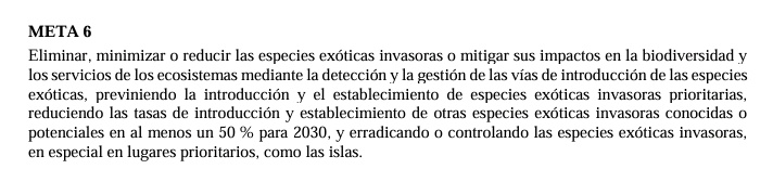 ¿Qué ha hecho @MinAmbienteCo para mostrar avances concretos y eficaces en la meta 6 para la #COP16? #HipopótamosInvasores