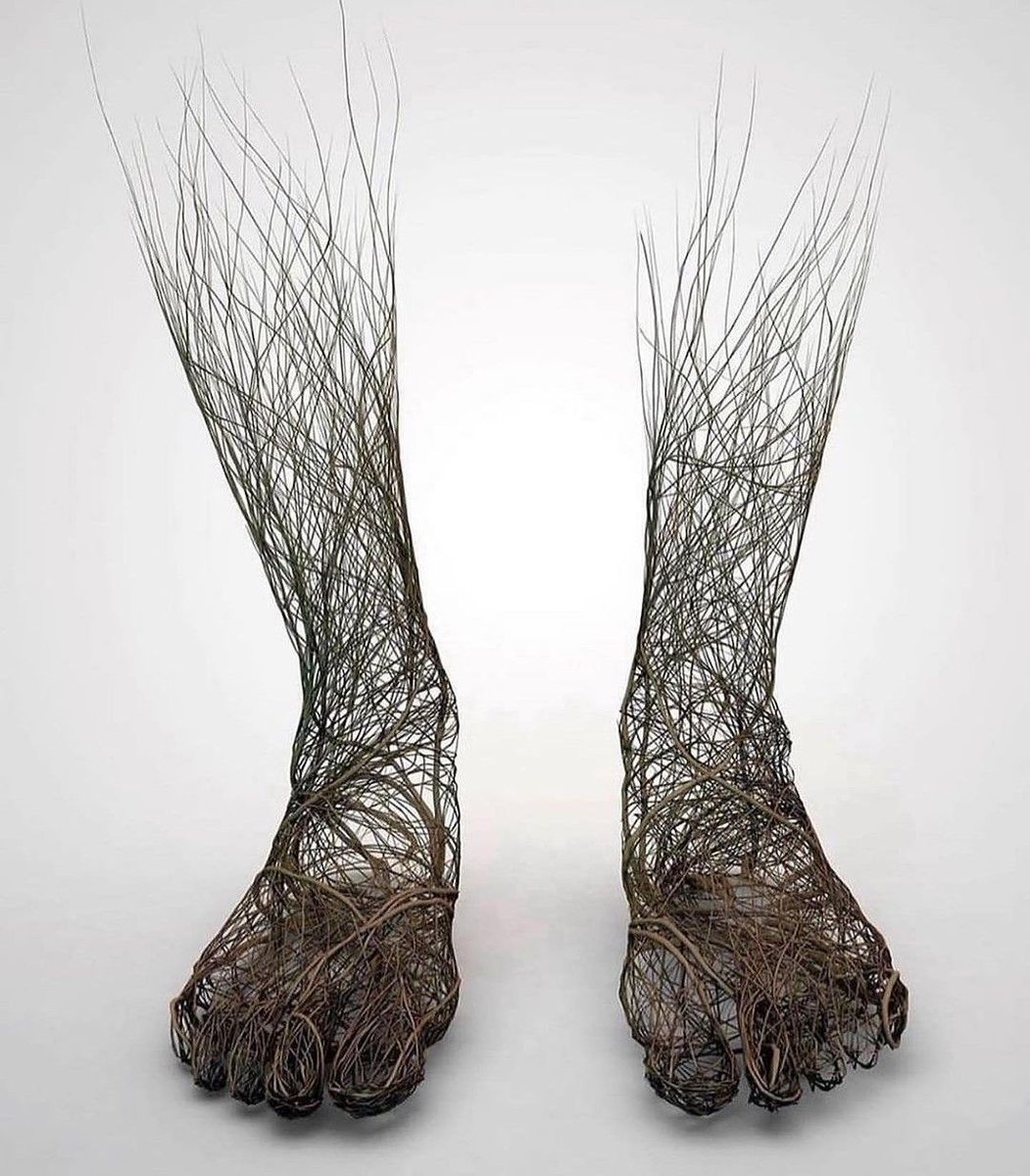 by Grégoire A. Meyer