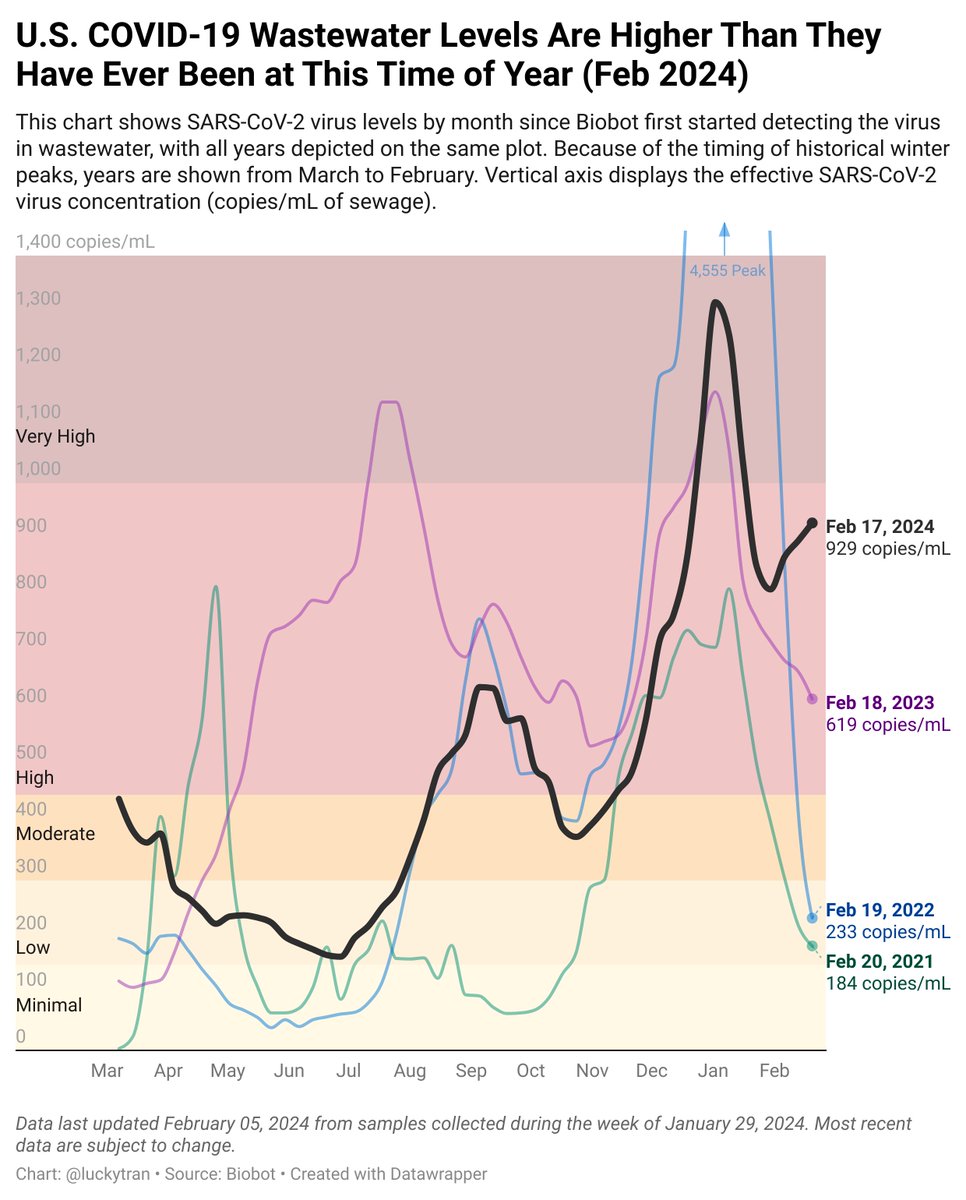 luckytran's tweet photo. This chart compares U.S. COVID wastewater levels from each year. It shows that COVID wastewater levels are higher in February 2024 than they have ever been compared to February in previous years of the pandemic, when COVID levels fell more quickly after the winter peak. https://t.co/a6o7y3wboJ