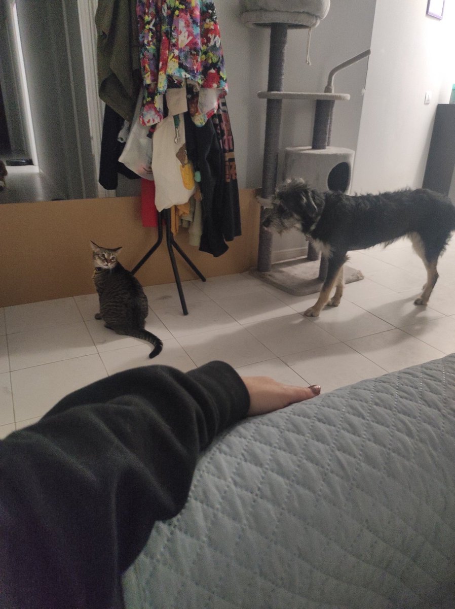 Marta Leiton♀️🏳️‍🌈🇵🇸🇨🇩 tweet media