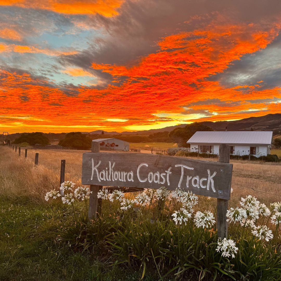 GO Rentals tweet media