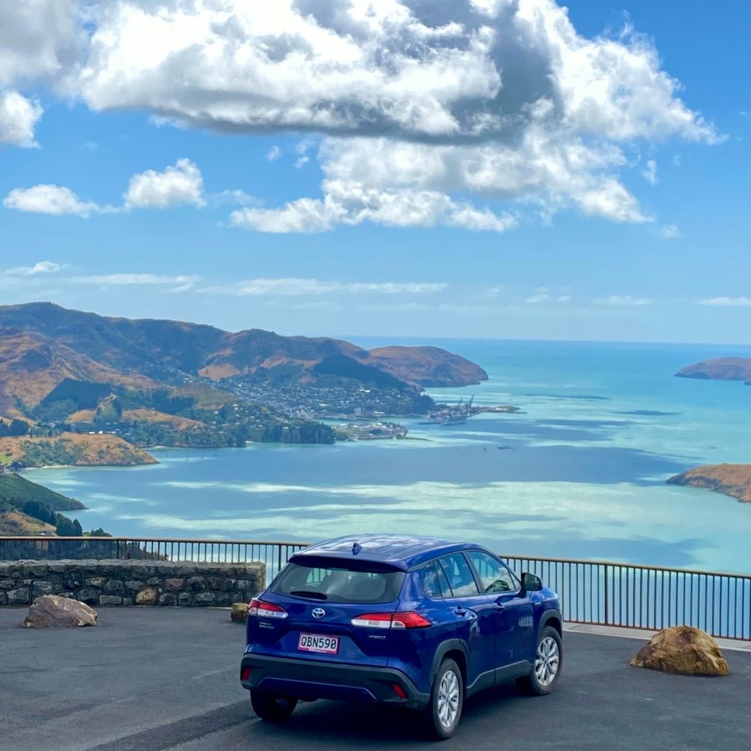 GO Rentals tweet media