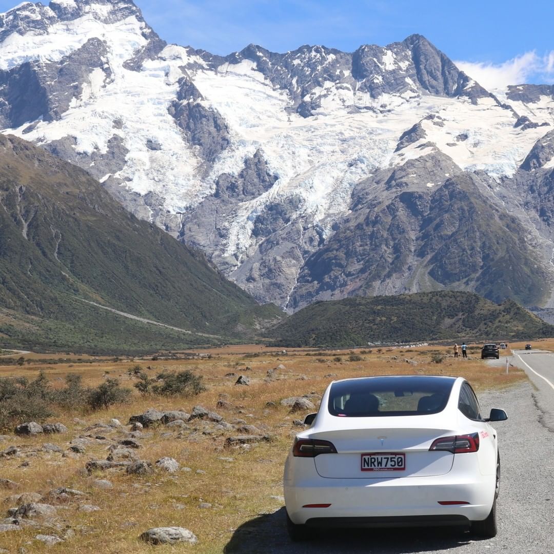 GO Rentals tweet media