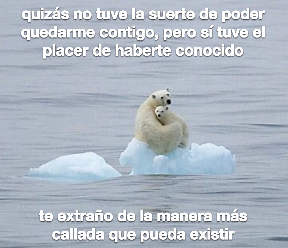 conoloracigarro's tweet photo. https://t.co/Mcr3bIPLEn