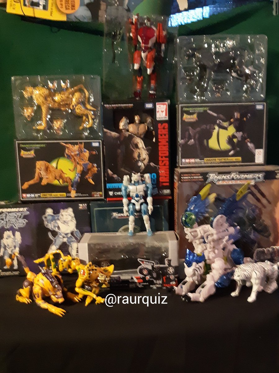 raurquiz's tweet photo. #internationalcatday #diainternacionaldelgato #transfomers #beastwars #beastmachines #masterpiece #riseofthebeasts #maximal #cheetor #tigraton #tigerhawk #predacon #shadowpanther #binaltech #ravage #universe #razorclaw #botcon #catscan #actionfigures @Hasbro @takaratomytoys https://t.co/7aLwcz3LXE