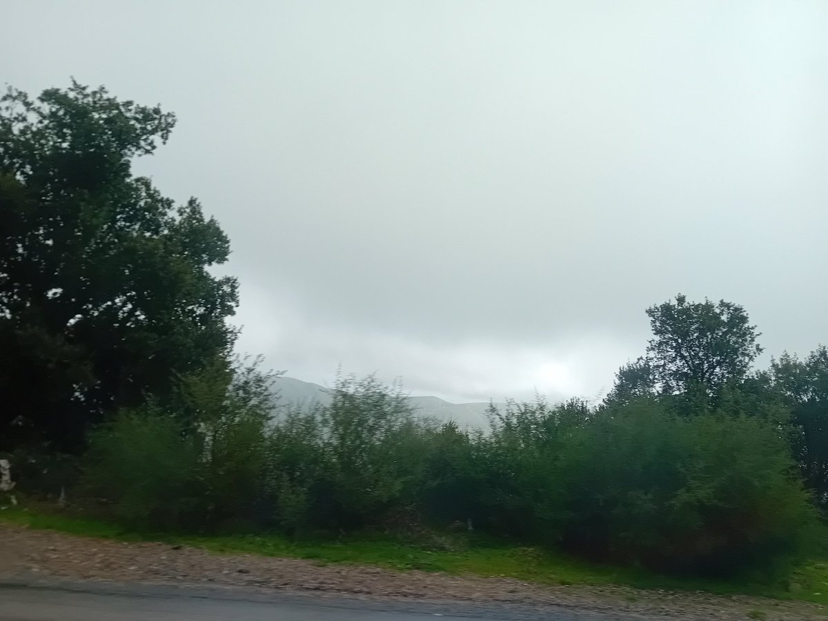 بوشهدة أولاد إدريس سوق أهراس