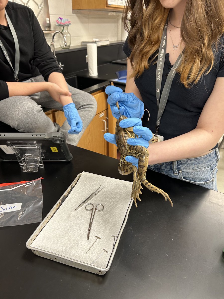 It’s that time of year again. Thanks, Mr. Krol for bringing frog dissection to our Hille Huskies! #hillepride
