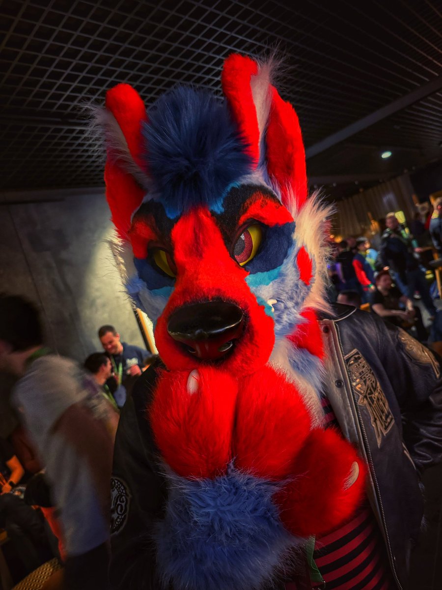 A wild <a href="/Woxplosion/">Wox 🎾</a> appeared! ;)