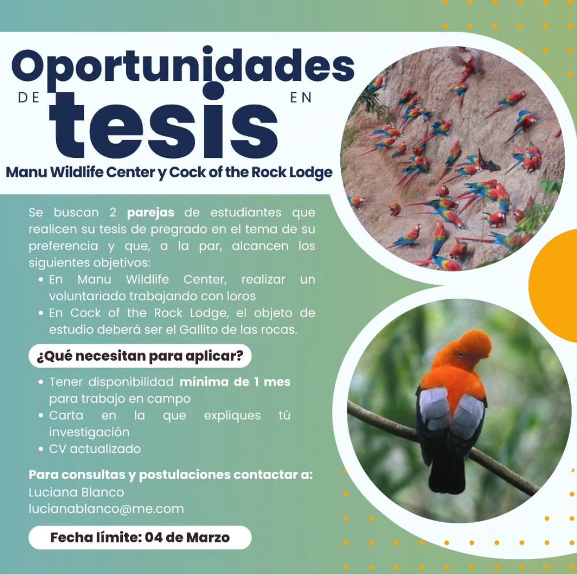Hola! Estamos en búsqueda de tesistas que quieran trabajar en Manu Wildlife Center (Madre de Dios) y Cock of the Rock Lodge (Cusco). Vamos a cubrir transporte desde MD y C, estadía y alimentación.
