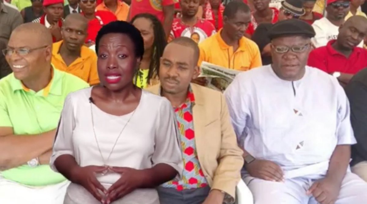 Violet Gonda analyses aftermath of Chamisa saying "CCC you later!" - Nehanda TV - nehandatv.com/2024/02/21/vio…